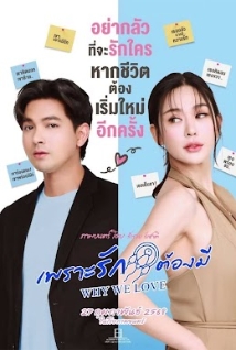 โปสเตอร์เรื่อง "WHY WE LOVE"